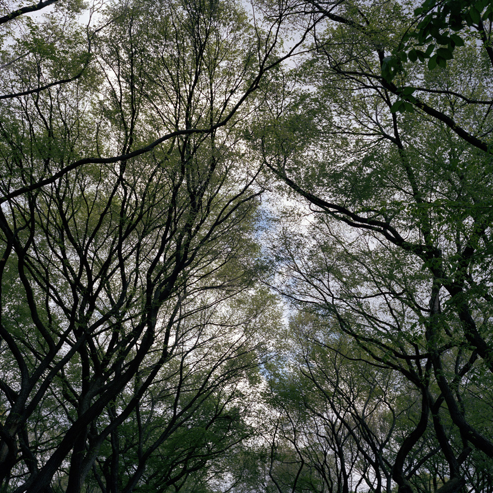 uc17_2070293.jpg